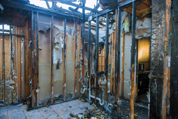 Professional Fire Damage Removal technician working in Arbury Hills, IL